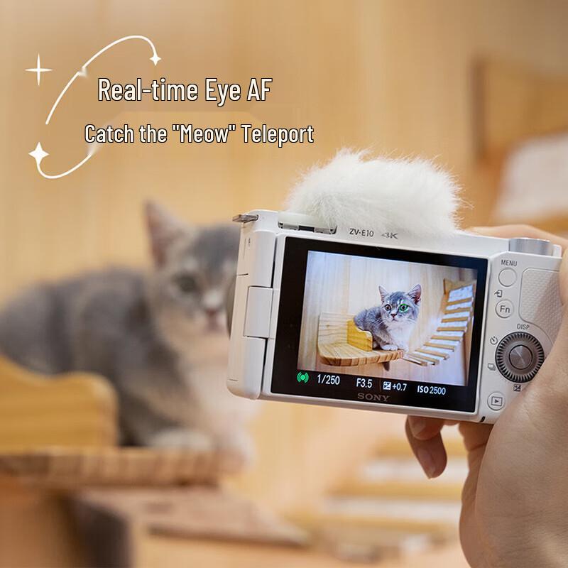 Sony ZV-E10L APS-C Mirrorless Camera Dual Lens Kit (CN version)