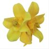 Double Flower Orchid Hair Clip Big Chiffon Artificial Flower Hair Clip Beach Wedding Party Flower Hair Accessories for Women