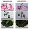 Umělá květina orchidej Umělá orchidej Falešná bonsai Phalaenopsis Venkovní vnitřní květináče do kanceláře Domácí Svatební párty Vnitřní dekorace