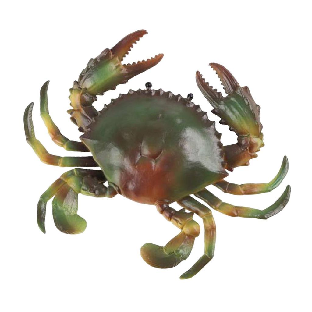 Mini Crab Figurines Model Educational Learning Toy for Children Toddlers Green