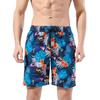 Quick-Dry Casual Printed Beach Shorts Men Shorts Multicolor LSKP785-4