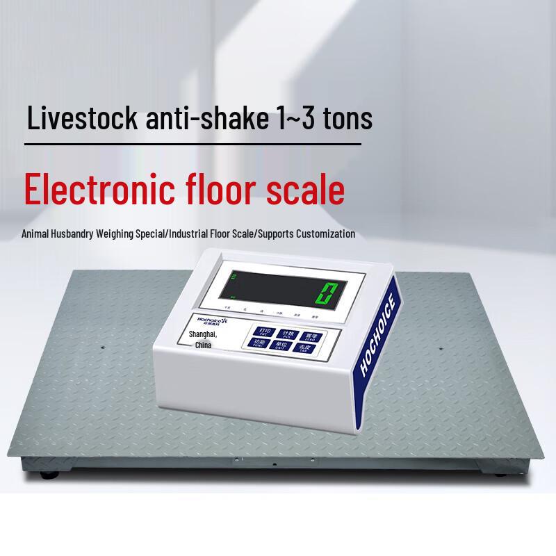 High-Precision Industrial Platform Scale (CN version)