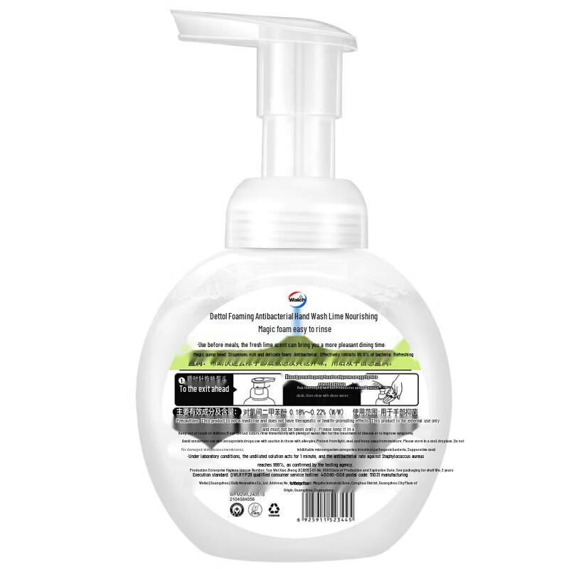 Walch Foaming Antibacterial Hand Wash - Lime