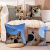 Cute Shiba Inu Meme Emoticons Pillow Case DoubleSided Printing Short Plush Sofa Cushion Cover Bedroom Bedside Pillow