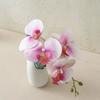 Realistic Artificial Moth Orchids Cloth Fake Butterfly Orchid Simulation Phalaenopsis  Wedding