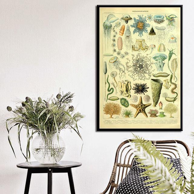 Ocean Sea Shell Fish Animal Canvas Painting Posters And Prints Wall Art Picture Vintage Life Chart Biology Decoration Home Decor