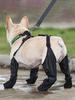 Hundeschuhe Wasserdicht Verstellbare Hundestiefel Haustier Atmungsaktive Schuhe Weiche Französische Bulldogge Schuhe Outdoor Schutz Zubehör Haustierbedarf