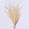 100Pcs DIY Ostrich Feathers Ribbon Tassel Loose Plumas Decorativas  for Clothes Decoration