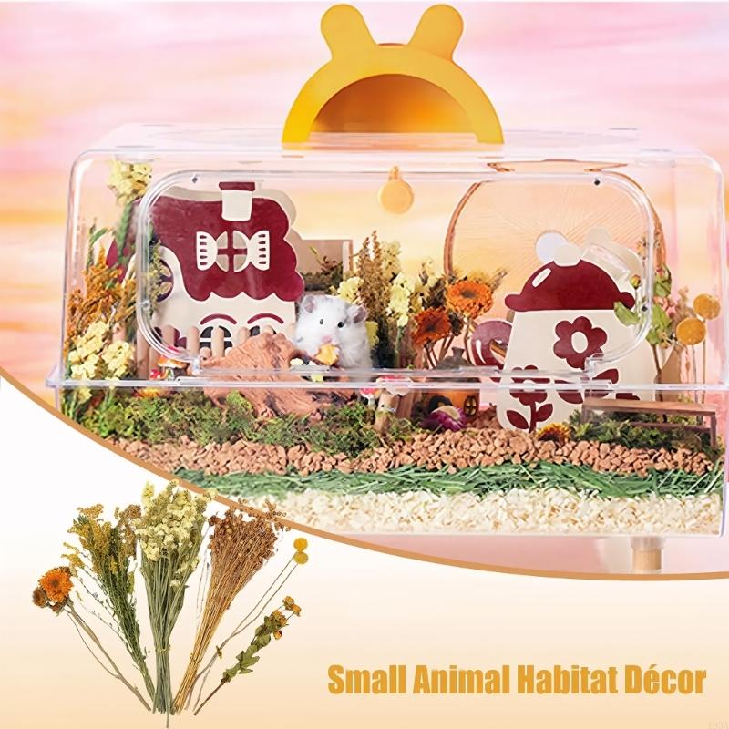 Decorative Colorful Dried Floral Bedding Set for Small Pet Creates Natural Flower Habitat