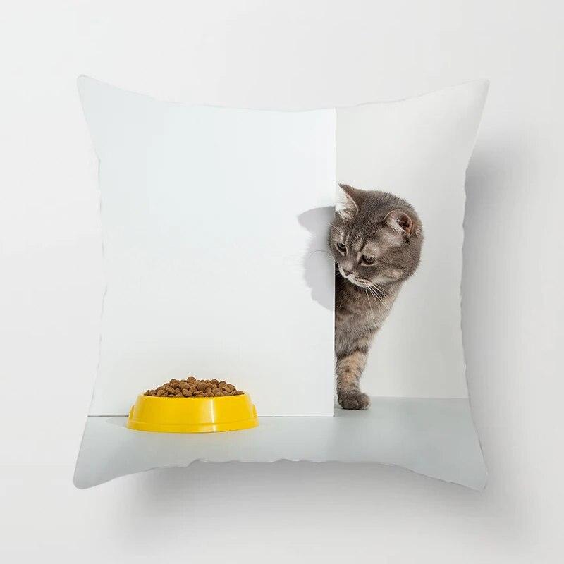Home Decor Witchcraft Cat Stealing  Cushion Cover Cute  Sofa Car Decoration 45x45cm Pillowcase Square Polyester