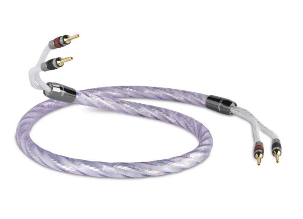 

QED Signature Genesis Silver Spiral Pair AIRLOC QED genuine banana metal (2 pieces) (2.0m plug)