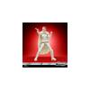 Hasbro Star Wars Vintage Collection Padm Amidala Action Figure 3.75 Inch Episode II Attack of the Clones Collectible