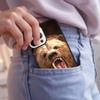 Cute Grizzly Bear Phone Case For iPhone 17 Air 15 16e 14 13 Pro Max Coque 12 11 Pro Max PLUS cover