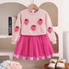 Children's Clothing for Girls, Spring and Autumn New Strawberry Embroidered Top and Mesh Skirt Set