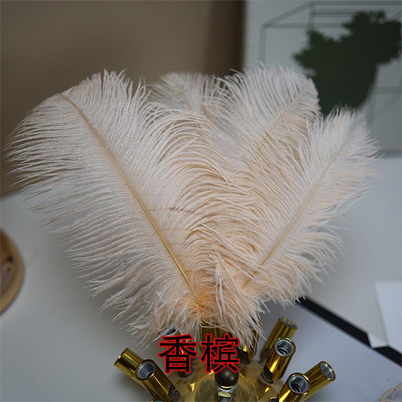 

10 шт. 20-25 см Перо страуса Сценическое выступление Перо Ручная работа DIY Ювелирные изделия Декоративный материал Волосы страуса шампанского