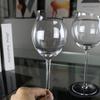 Nordic Slanted Tulip Red Wine Glasses (Set of 2)