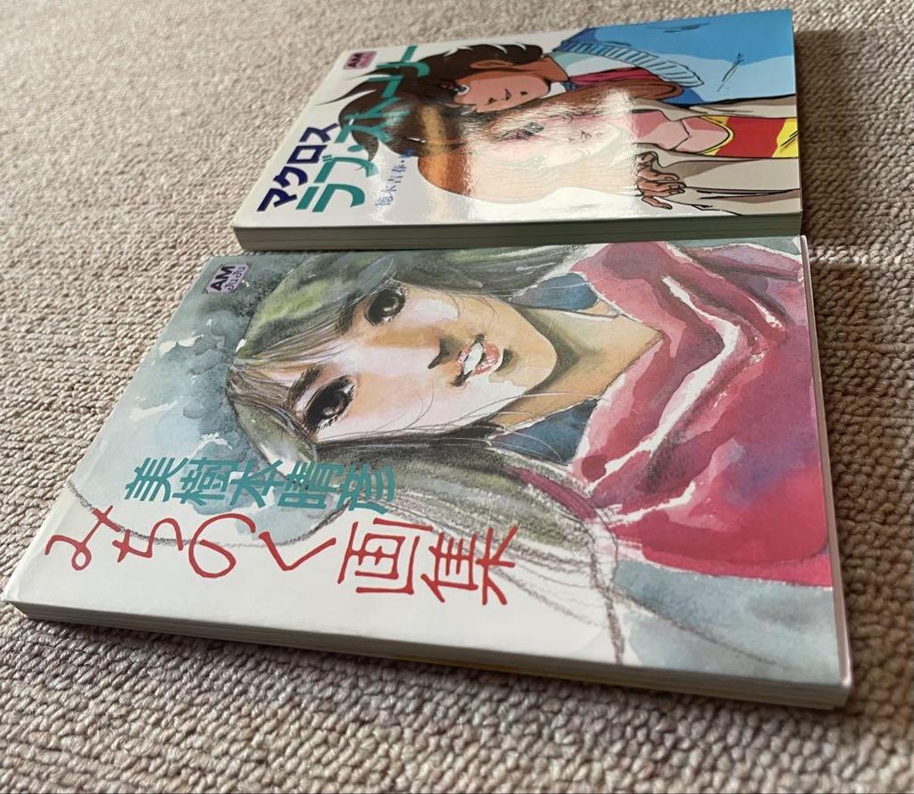 [USED] Two used books: Michinoku Art Book and Macross Love Story