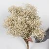 90g Dried Baby Breath Flower Bouquet Natural Dry Flowers Gypsophila Valentines Day Wedding Decoration Home Table Christmas Decor