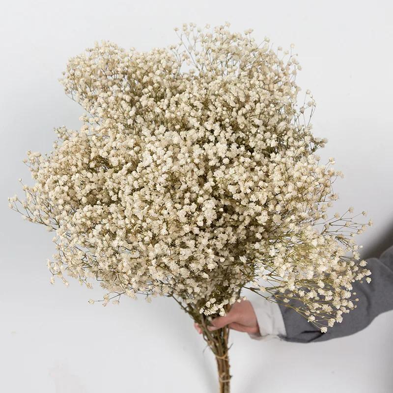 90g Dried Baby Breath Flower Bouquet Natural Dry Flowers Gypsophila Valentines Day Wedding Decoration Home Table Christmas Decor