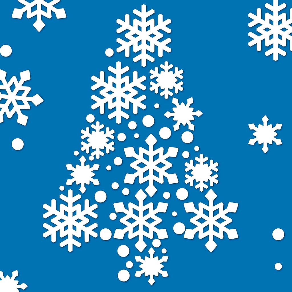 160 Pcs Thick Winter Snowflake Cutouts Snowflake Paper Cutouts Decor Blue and White Double Side Snow Flake Die Cuts Paper Pre Cut Snow Flake