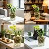 High Transparency Pet Material Planter Clear Orchid Pot with Drainage Holes, Plastic Phalaenopsis Planter, Root Large Size Nursery Pots for