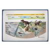 Oherikosha Specimen 6 Index Fossil Species Book-Type Set