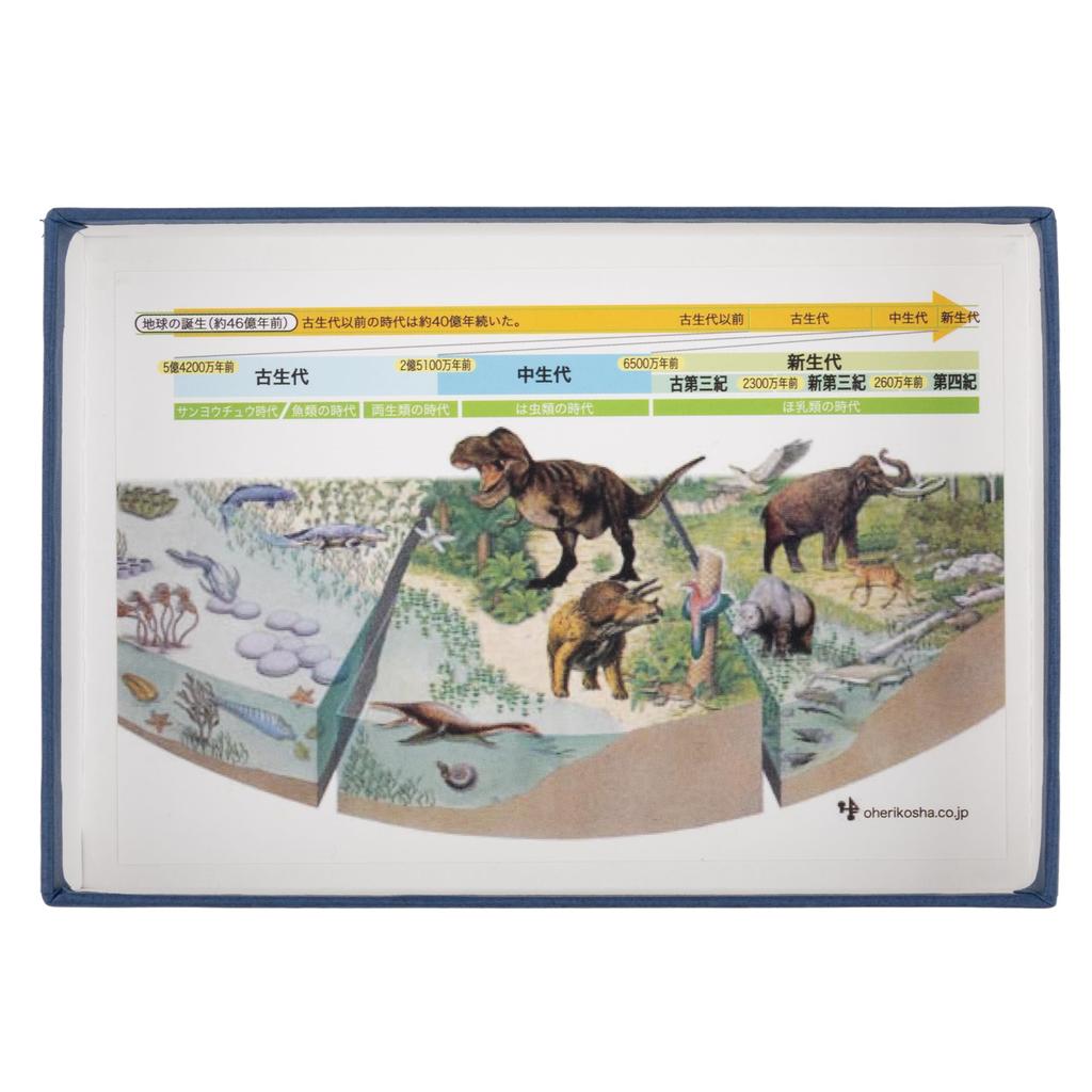 Oherikosha Specimen 6 Index Fossil Species Book-Type Set