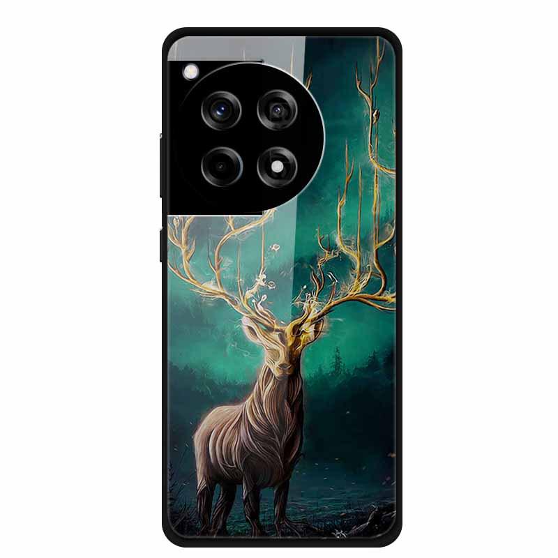 Creative Color Painting Tempered Glass Case for OnePlus ACE 3 12R