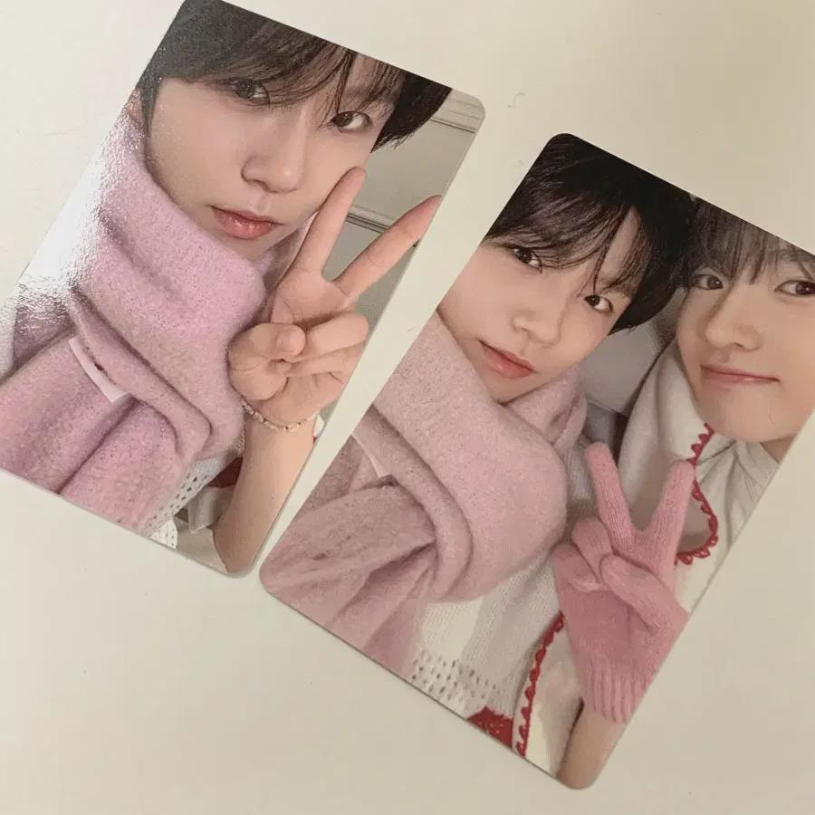 

Nct Wish Trading Card Batch