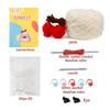 Crochet Rabbit Kits, Knitting Kits with Yarn, Crochet Hooks, Instructions