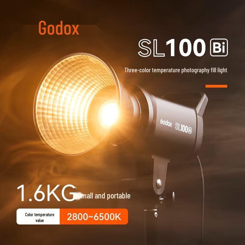Godox SL100BI Bi-color LED Video Light Kit