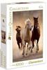 Puzzle 1000 Hq Running Horses
