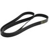 5080810 Dayco Drive Belt for Chevy Ram Truck Freightliner M2 106 Peterbilt 367