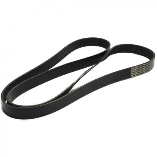5080810 Dayco Drive Belt for Chevy Ram Truck Freightliner M2 106 Peterbilt 367