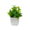 Maintenance Free Artificial Potted Plant with Flower Pot Evergreen Design Fake Green Plant Vivid Shape Decorative Fake Plant
