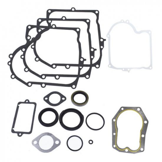 Lawn Mower Gasket Set Fit For Replace 494241 490525 480-149 12 & 12.5 HP Vertica