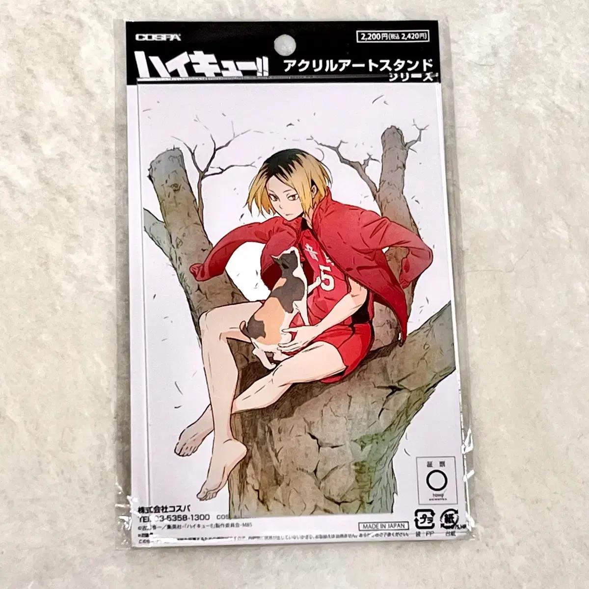 

Акриловая напольная панель Kenma Haikyu Cat Large Barefoot Cospa