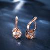 Rose Gold Color Round Cut Pink Red Blue Rainbow Birthstone Drop Dangle Earrings Eight Claw Stud Hook Earrings Jewelry
