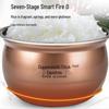 Joyoung 4L Multi-function Rice Cooker CN plug (adapter included)