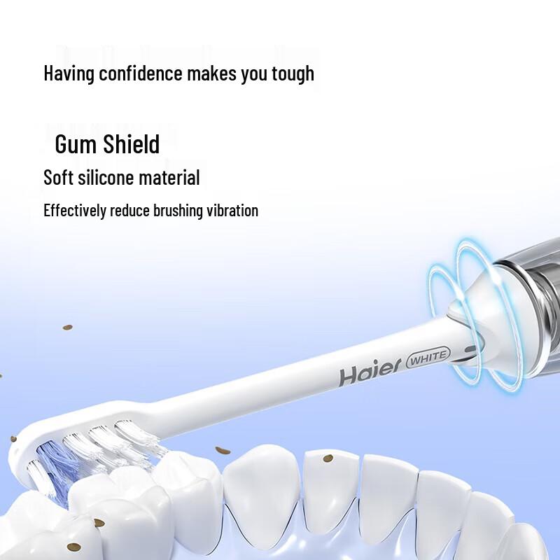 HAIER Sonic Electric Toothbrush