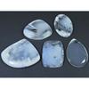 200Cts. Natural Dendrite Opal Agate Mix Cabochon Loose Gemstone 05 Pcs Lot C-1320