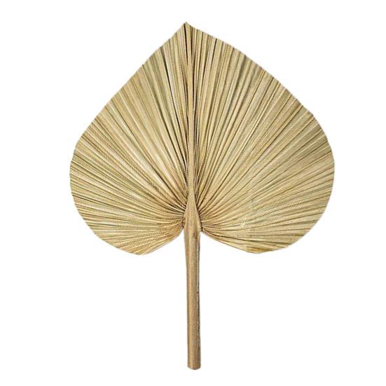 Dried Palm Leaf Decoration with Rustic Party Boho Home Wedding Stem Indoor Outdoor Heart