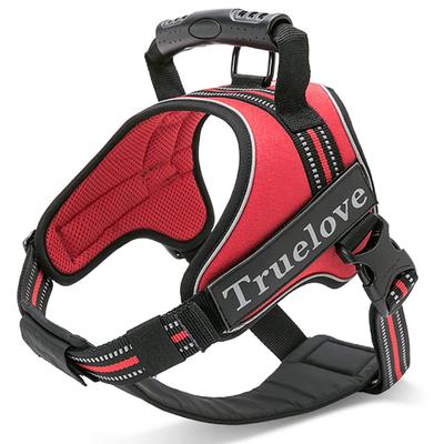 Psy – Obojky a vodítka pro psy