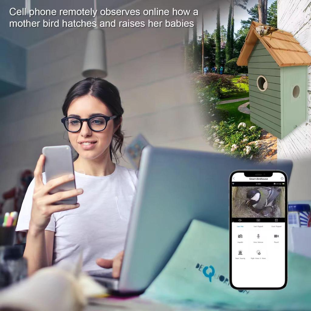 Outdoor Bird Nest AI HD WiFi Camera with Intelligent Visibility