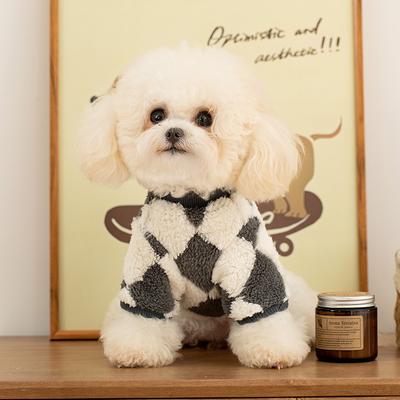Odzież i obuwie – Swetry dla psów