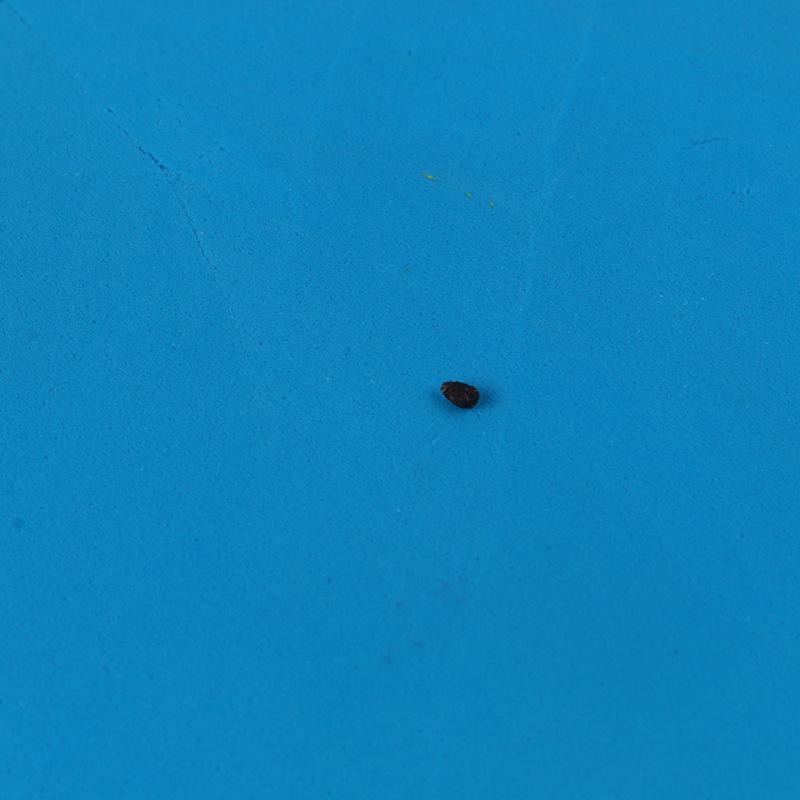 500g Super Leichter Weltraumknete-Set für DIY-Bastelarbeiten - Enthält Werkzeuge & farbige Knete für Kinder