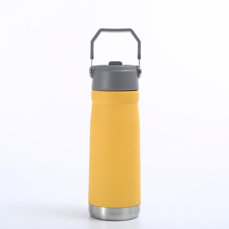 Stainless Steel Vacuum Insulated Travel Mug With Straw Lid 650ml Car Office Gym Outdoor Use