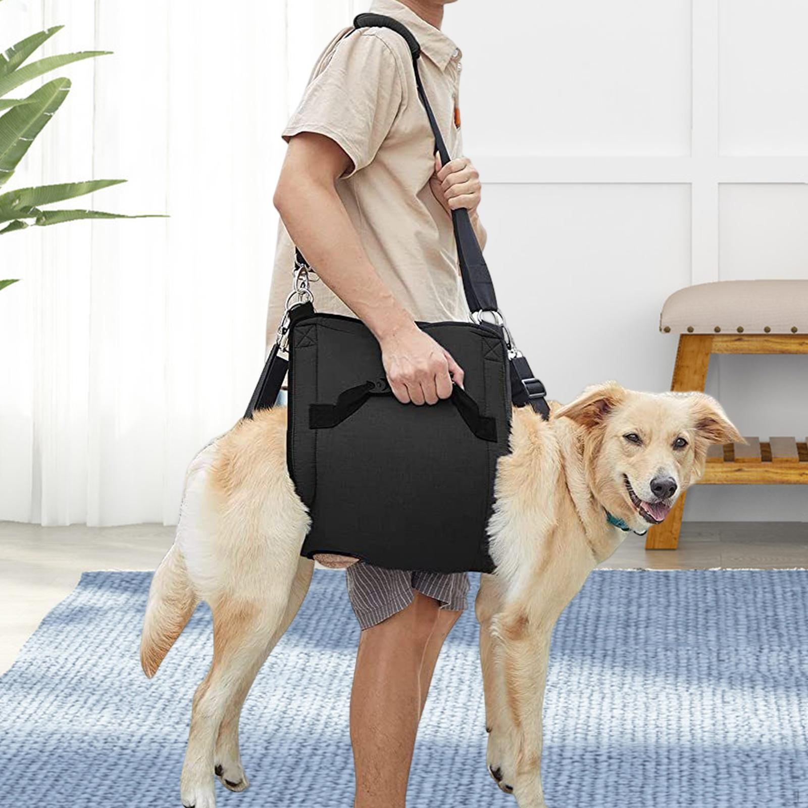 

Dog Lift Hind Leg Support Harness with Adjustable Handle S 24x39cm