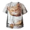 Summer Round Neck 3D Printed Cute Cat Pattern Top Fashionable Casual Short Sleeved Children's Boy and Girl Kids Unisex T-shirts