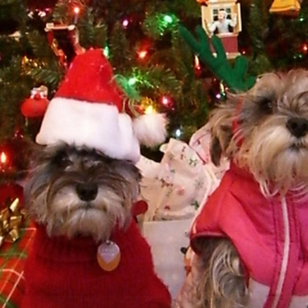 Festive Pet Accessories Cat Dog Christmas Costume Festive Pet Christmas Hat Scarf Set for Dogs Cats Fluffy Winter for Holiday